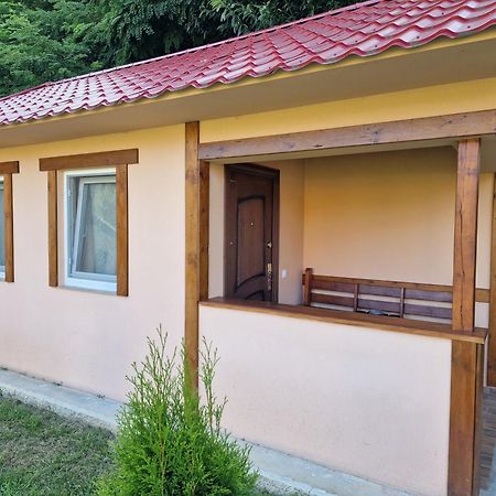 Casa Maya Săsciori Exterior photo