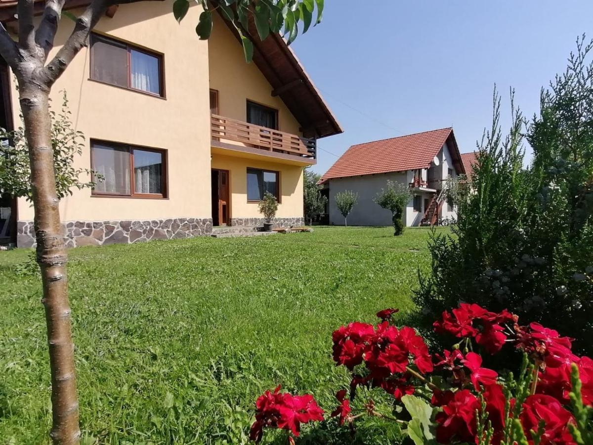 Casa Maya Săsciori Exterior photo