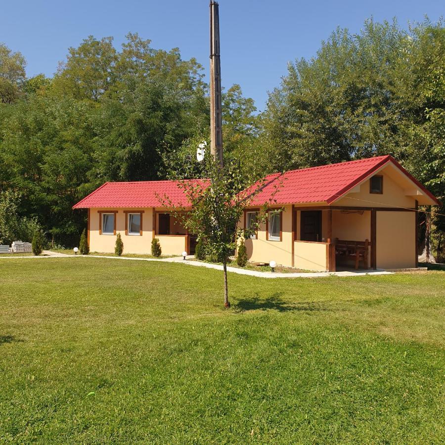 Casa Maya Săsciori Exterior photo