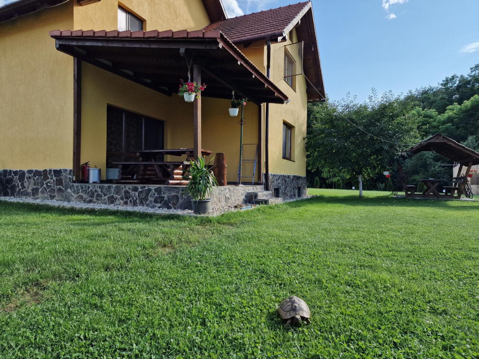 Casa Maya Săsciori Exterior photo